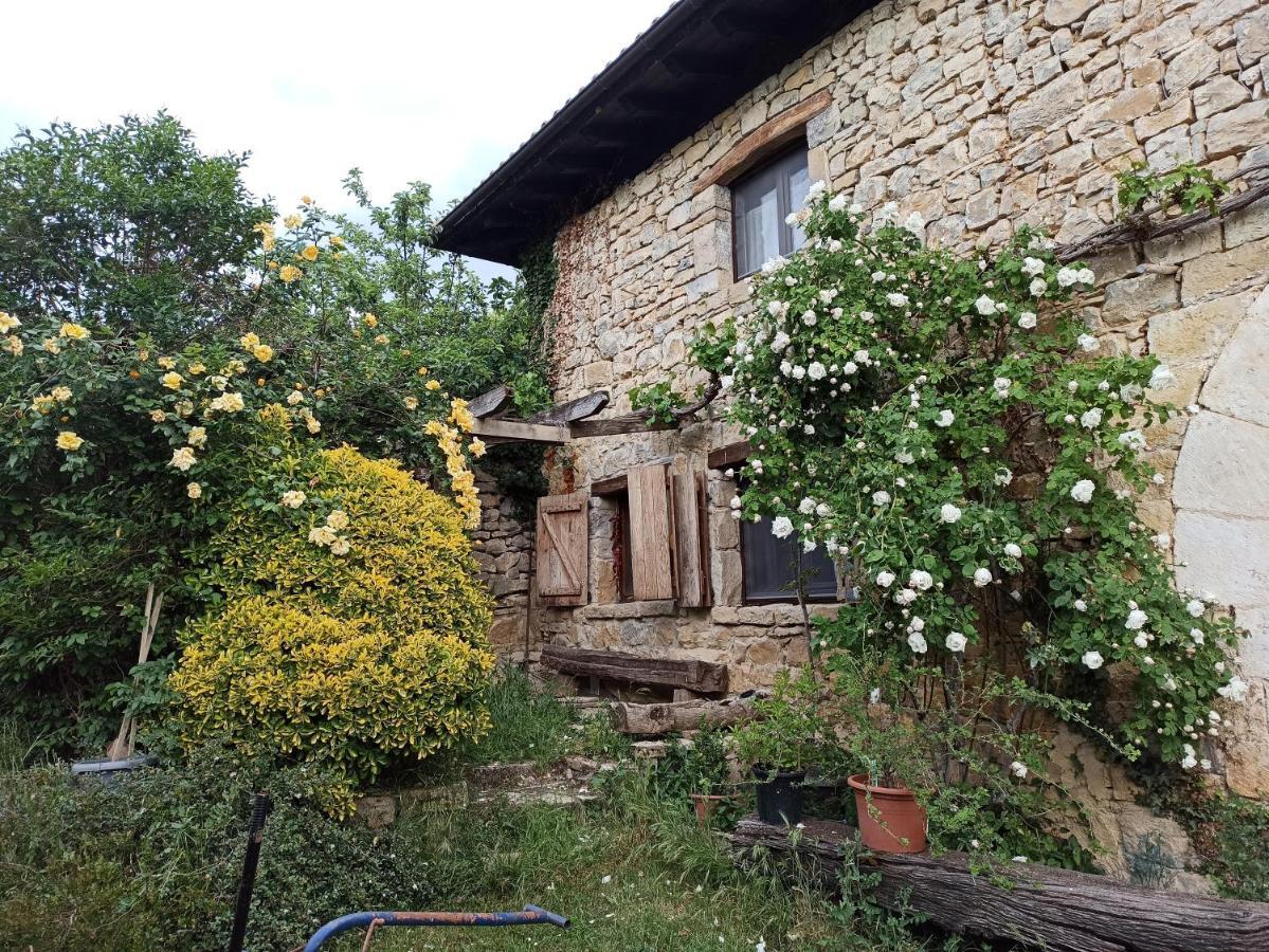 Casa Rural Ttipiaenea Landetxea Ariz  Exteriér fotografie