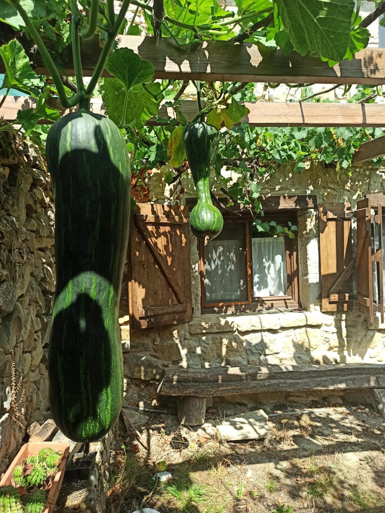 Casa Rural Ttipiaenea Landetxea Ariz  Exteriér fotografie